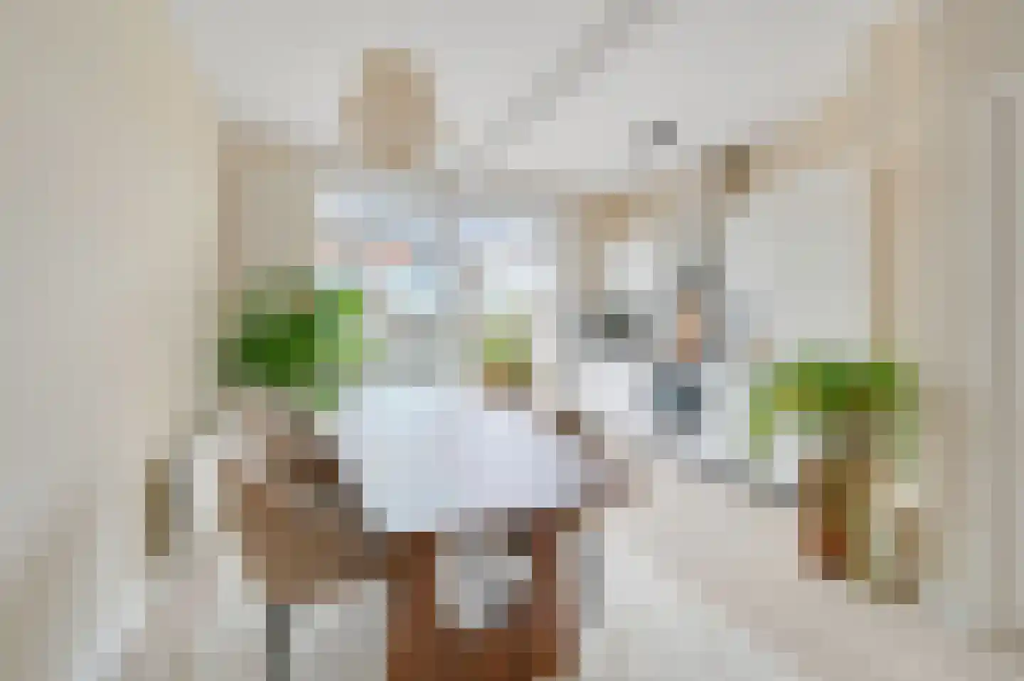 Nieuwe Laantjes 111 Den Haag thumbnail 4