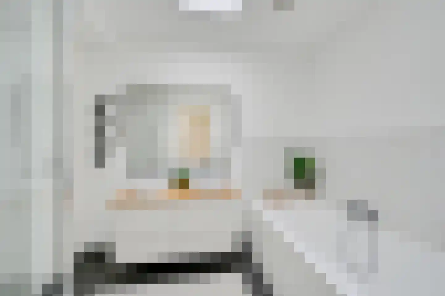 Nieuwe Laantjes 111 Den Haag thumbnail 43