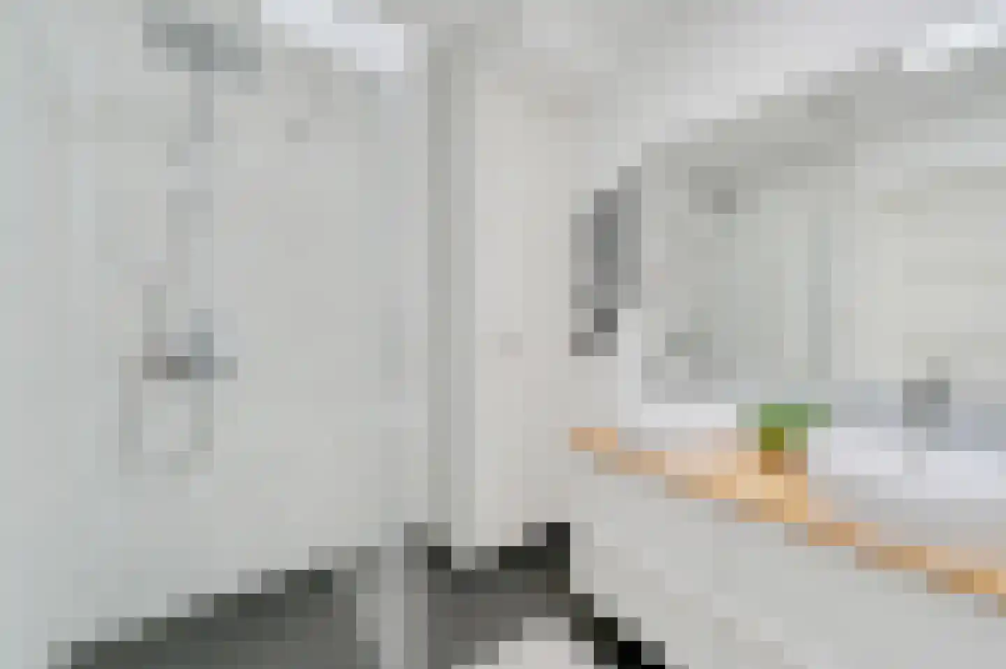 Nieuwe Laantjes 111 Den Haag thumbnail 44