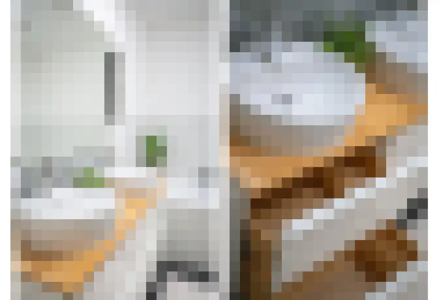 Nieuwe Laantjes 111 Den Haag thumbnail 45