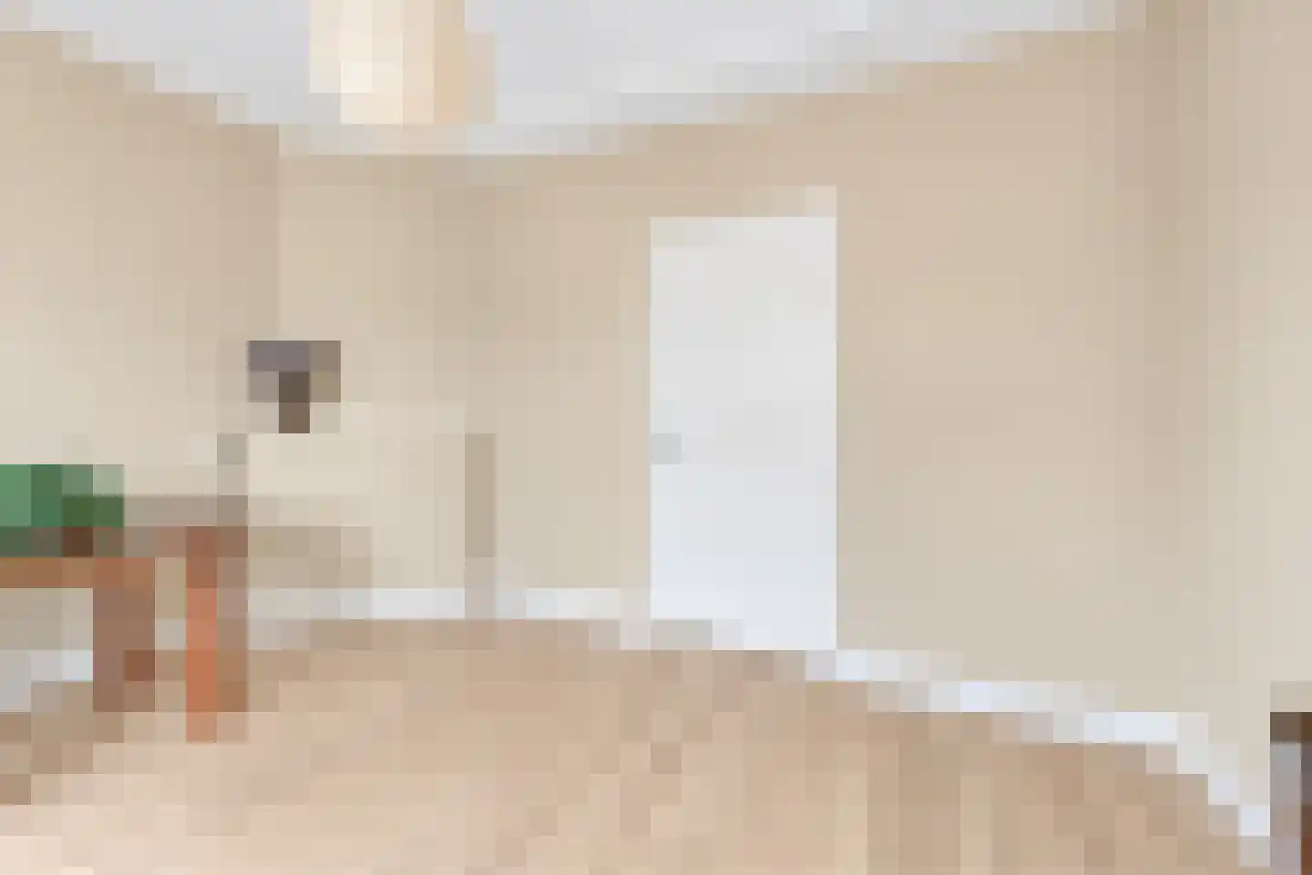 Nieuwe Laantjes 111 Den Haag thumbnail 49