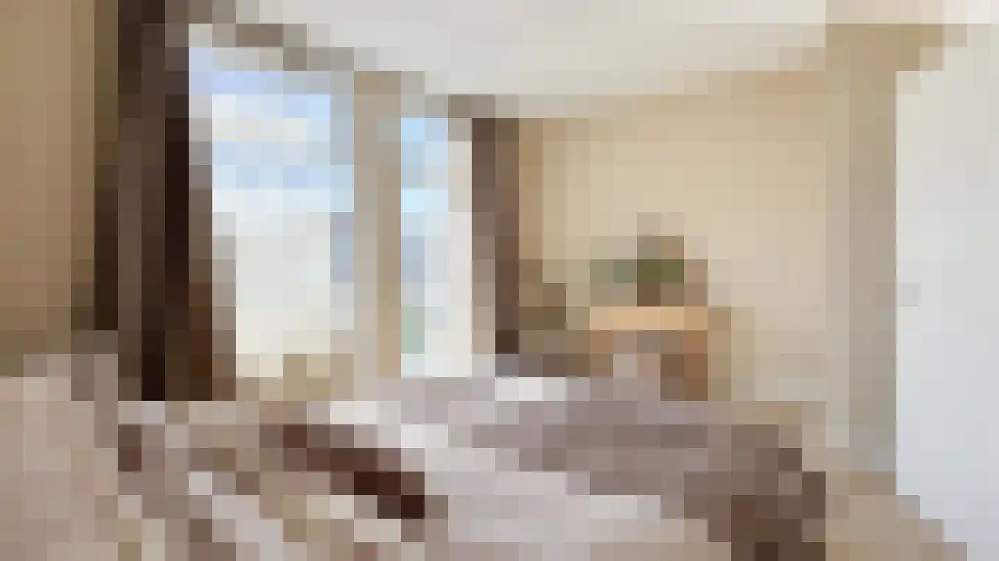Nieuwe Laantjes 111 Den Haag thumbnail 5