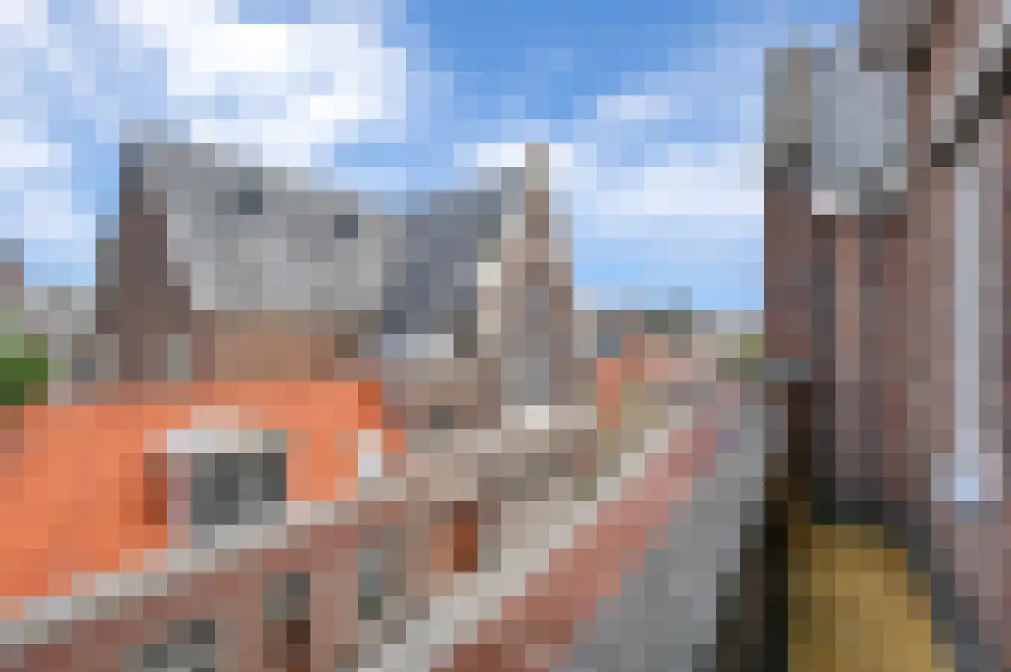 Nieuwe Laantjes 111 Den Haag thumbnail 52