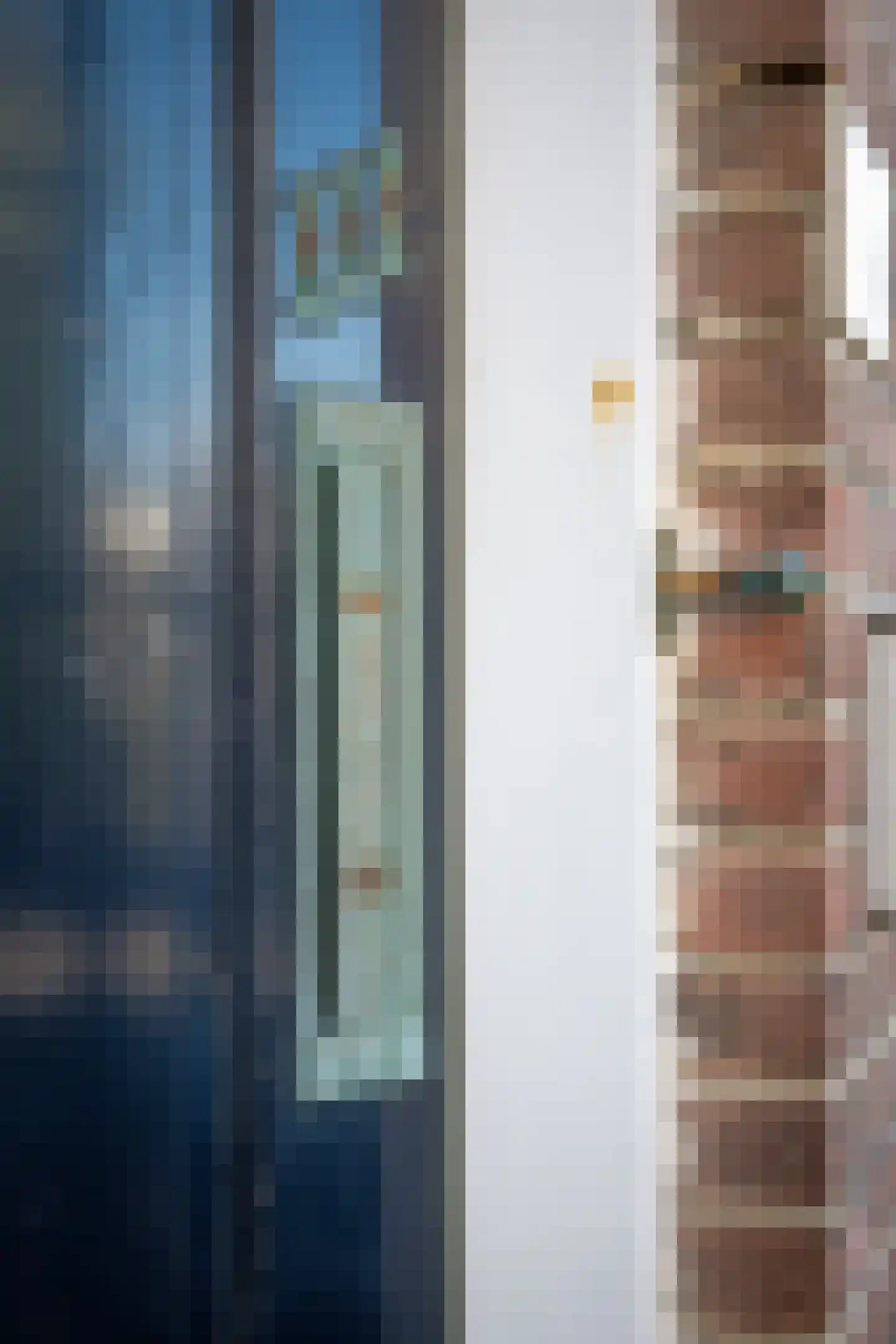 Nieuwe Laantjes 111 Den Haag thumbnail 8