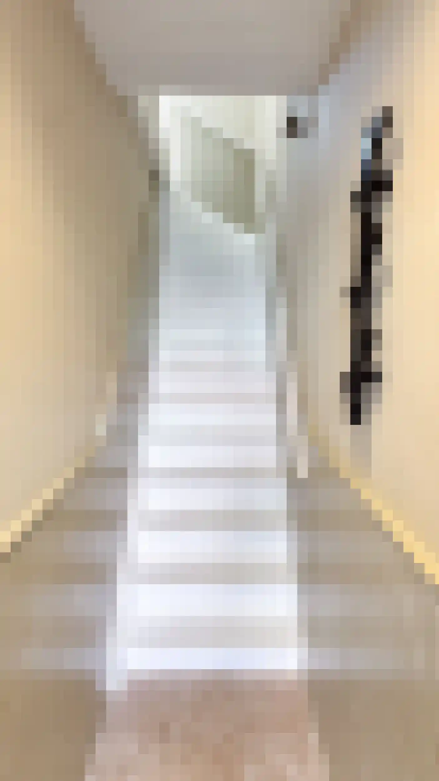 Nieuwe Laantjes 111 Den Haag thumbnail 9