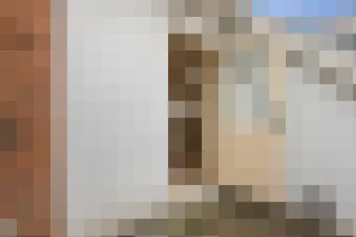 Nieuwe Laantjes 132 Den Haag thumbnail 20