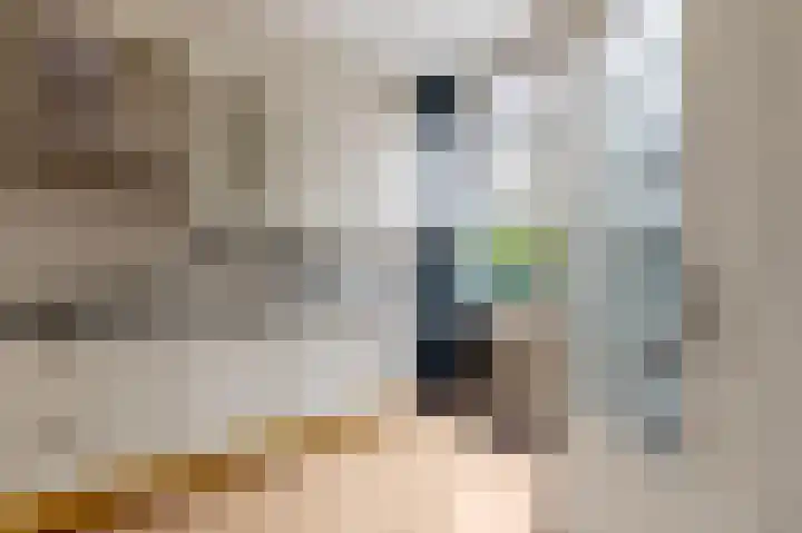 Nieuwe Laantjes 132 Den Haag thumbnail 8