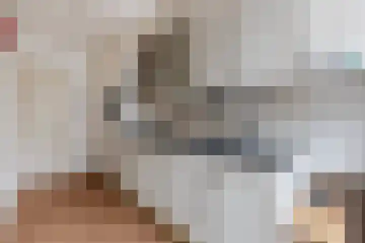 Nieuwe Laantjes 132 Den Haag thumbnail 9