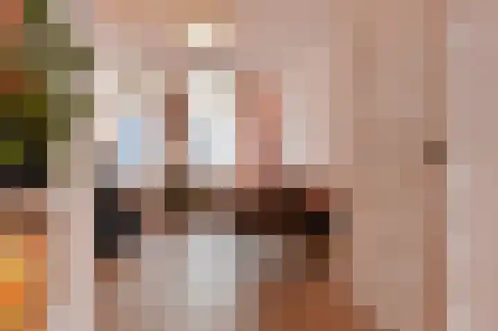 Nieuwe Laantjes 81 Den Haag thumbnail 13