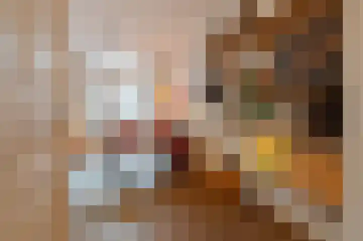 Nieuwe Laantjes 81 Den Haag thumbnail 15
