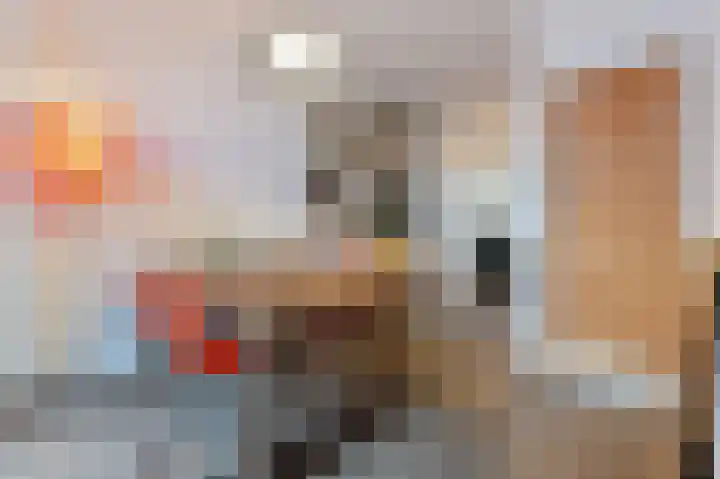 Nieuwe Laantjes 81 Den Haag thumbnail 17