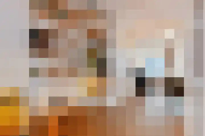 Nieuwe Laantjes 81 Den Haag thumbnail 20