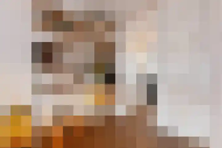 Nieuwe Laantjes 81 Den Haag thumbnail 21