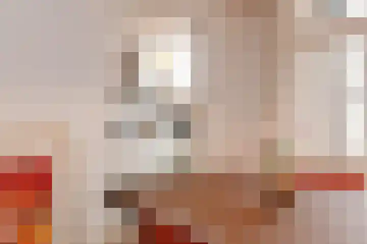 Nieuwe Laantjes 81 Den Haag thumbnail 22