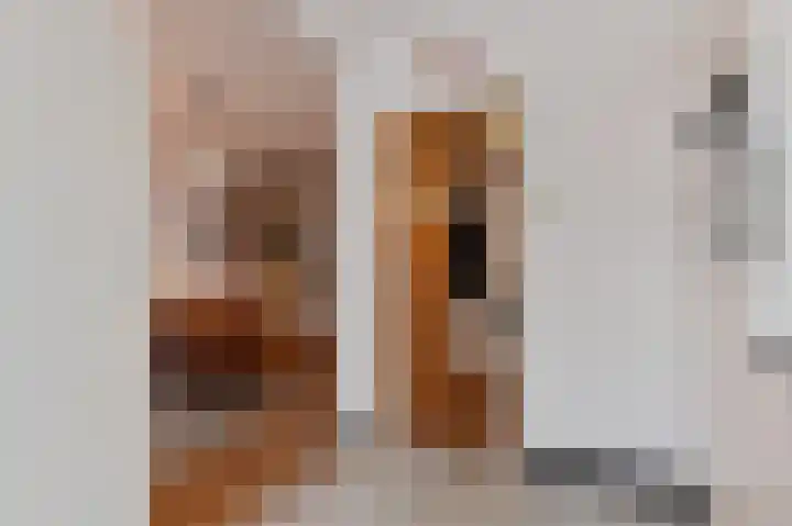 Nieuwe Laantjes 81 Den Haag thumbnail 23