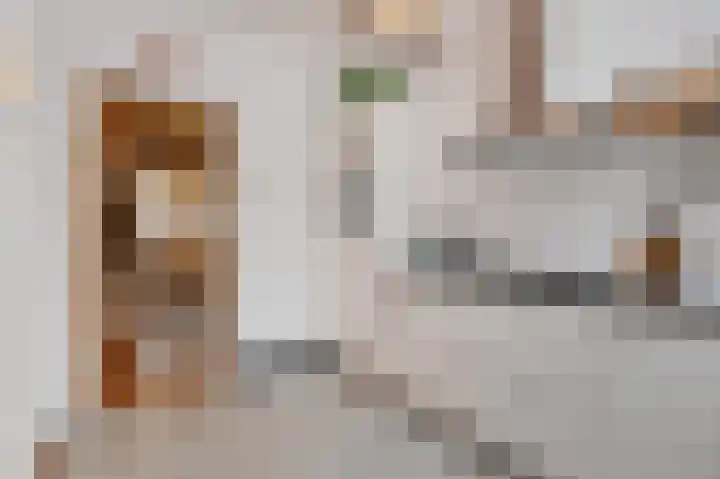 Nieuwe Laantjes 81 Den Haag thumbnail 24