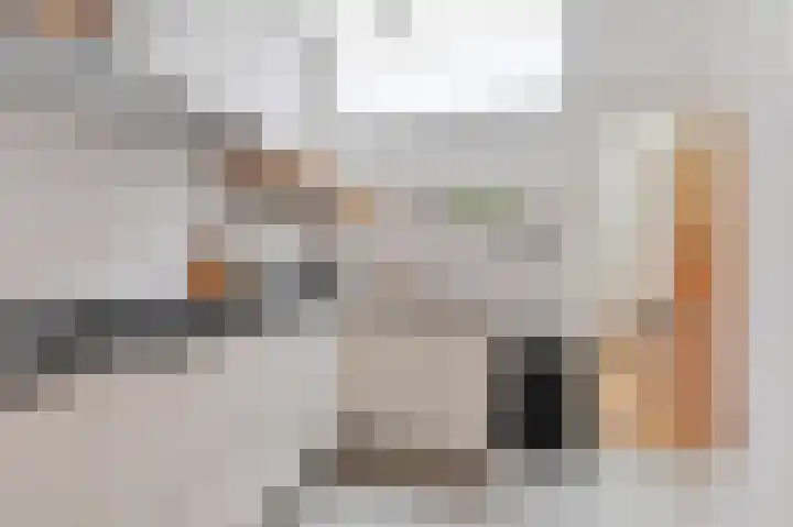 Nieuwe Laantjes 81 Den Haag thumbnail 26