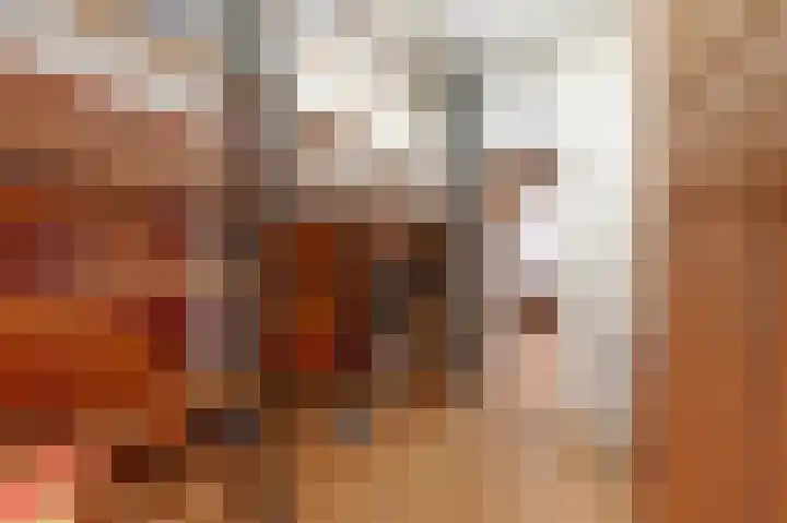 Nieuwe Laantjes 81 Den Haag thumbnail 29