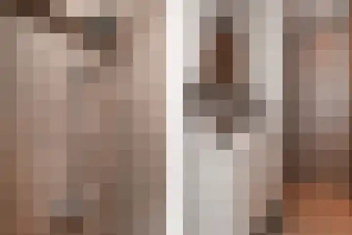 Nieuwe Laantjes 81 Den Haag thumbnail 36
