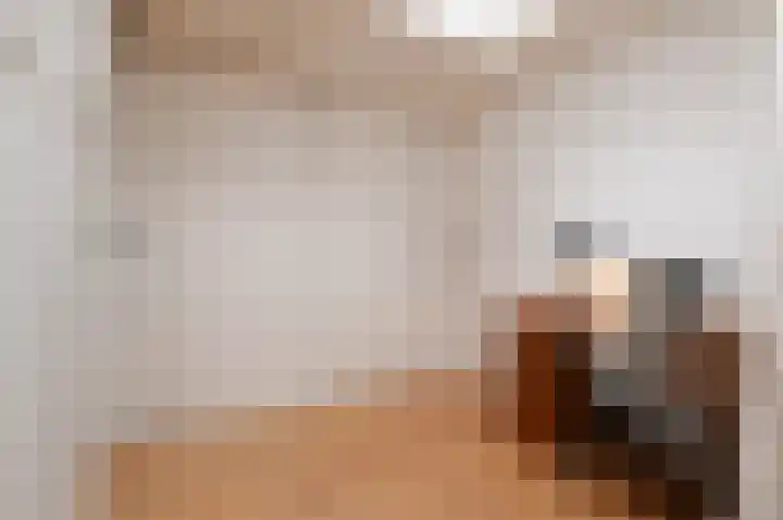 Nieuwe Laantjes 81 Den Haag thumbnail 37