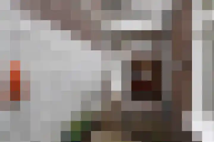Nieuwe Laantjes 81 Den Haag thumbnail 43