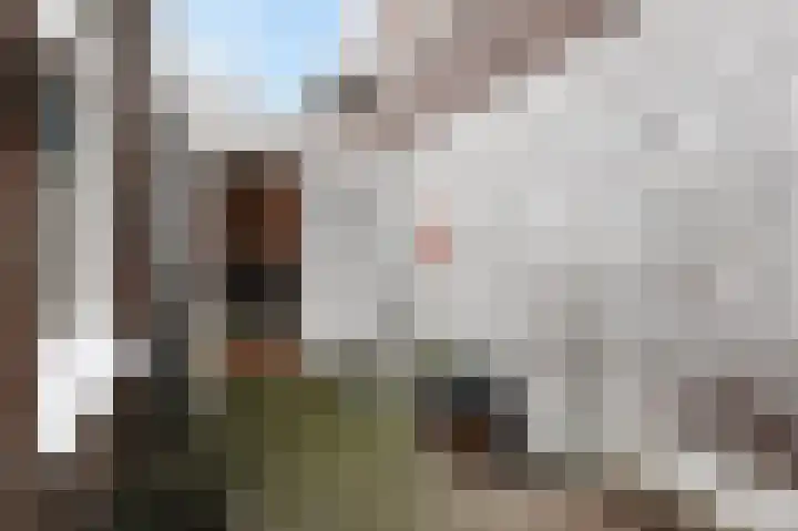 Nieuwe Laantjes 81 Den Haag thumbnail 44
