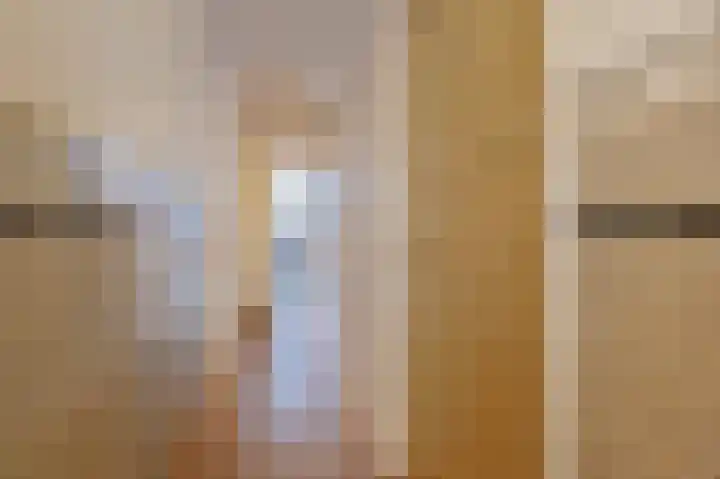 Nieuwe Laantjes 81 Den Haag thumbnail 5