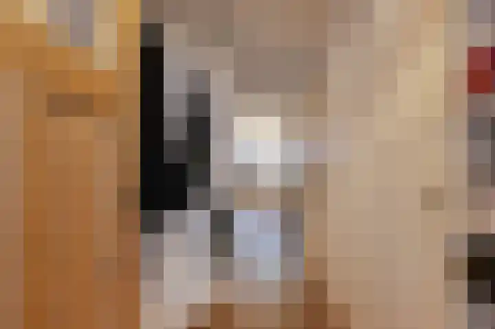 Nieuwe Laantjes 81 Den Haag thumbnail 6