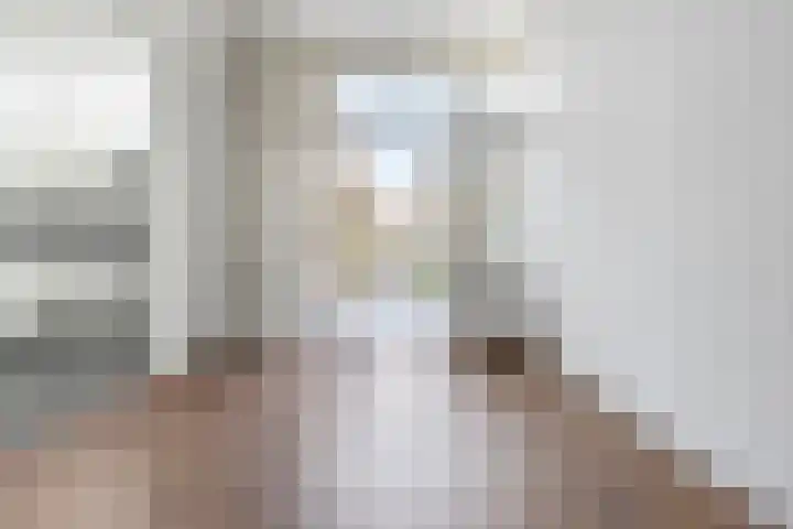 Nieuwe Laantjes 89 Den Haag thumbnail 10