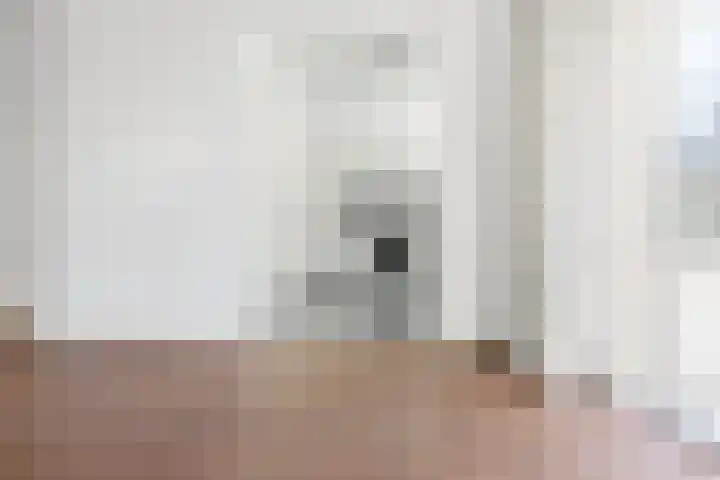 Nieuwe Laantjes 89 Den Haag thumbnail 12