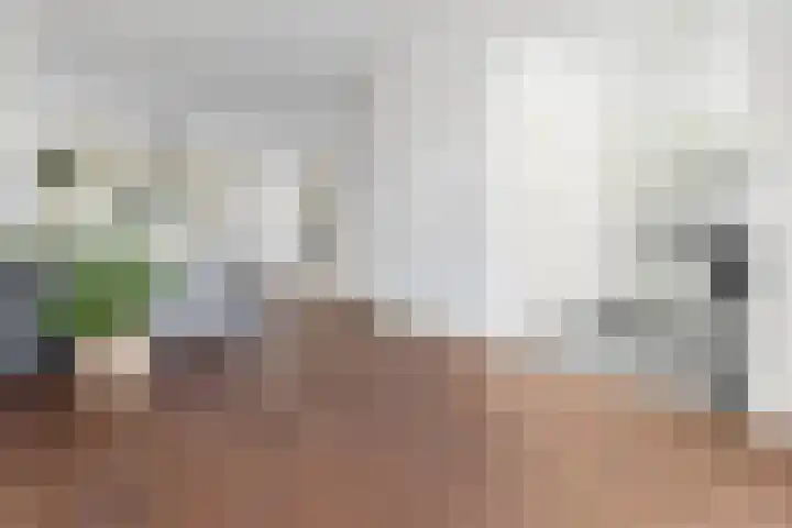 Nieuwe Laantjes 89 Den Haag thumbnail 13