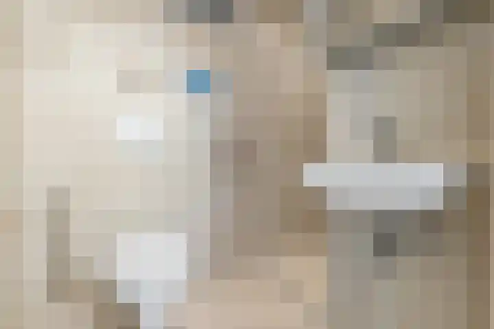 Nieuwe Laantjes 89 Den Haag thumbnail 18