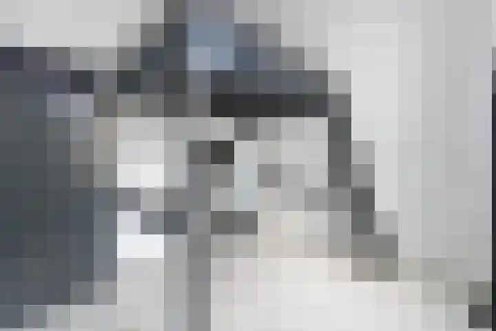 Nieuwe Laantjes 89 Den Haag thumbnail 23
