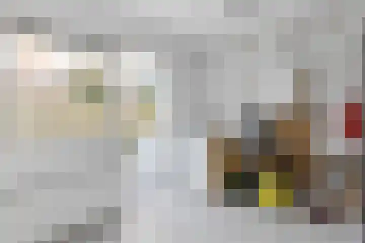 Nieuwe Laantjes 89 Den Haag thumbnail 27