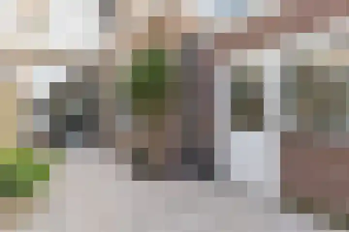 Nieuwe Laantjes 89 Den Haag thumbnail 29
