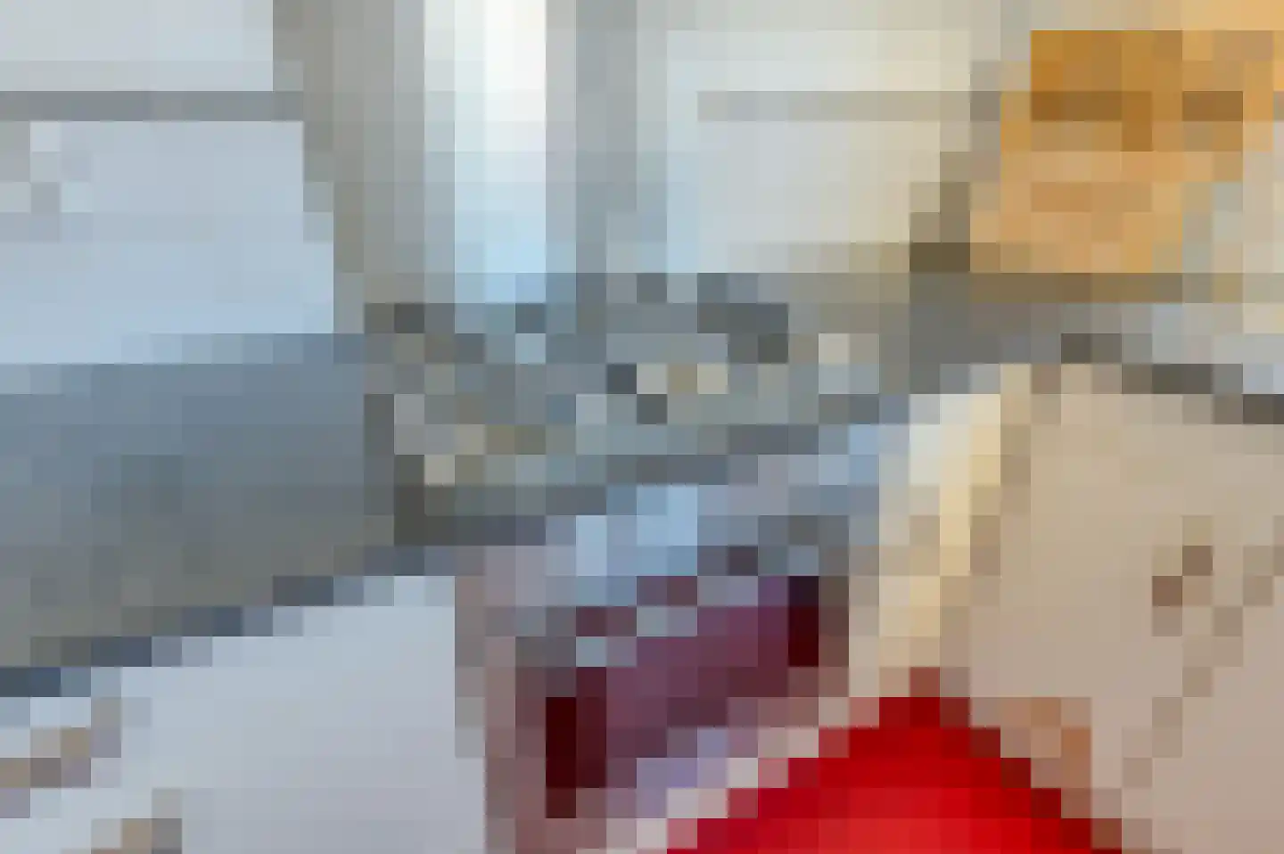 Nieuwe Laantjes 91 Den Haag thumbnail 24