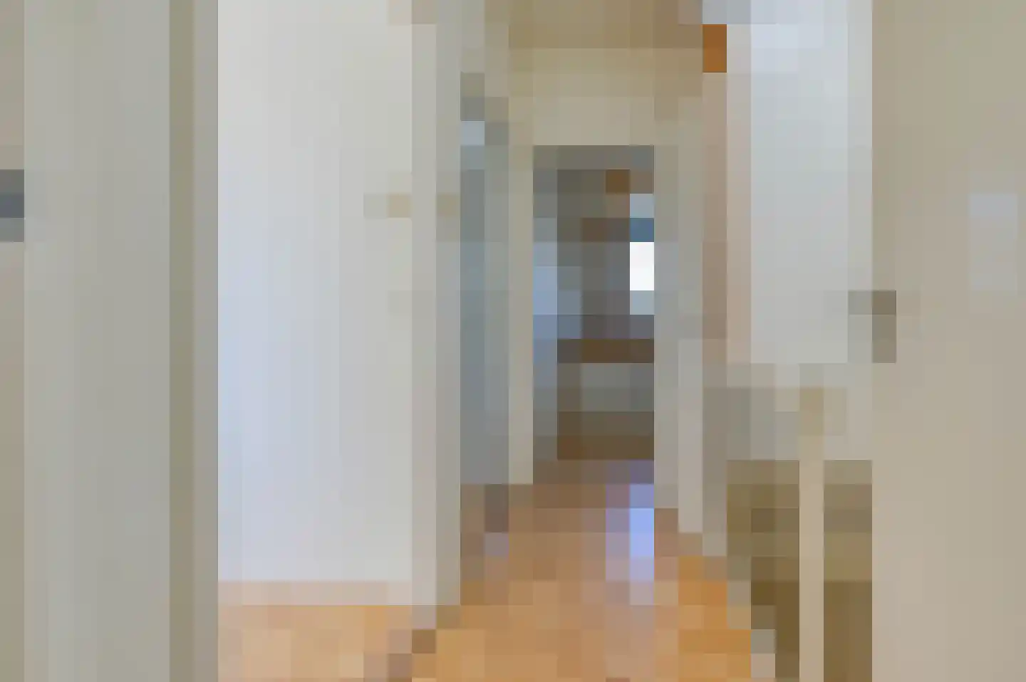 Nieuwe Laantjes 91 Den Haag thumbnail 27