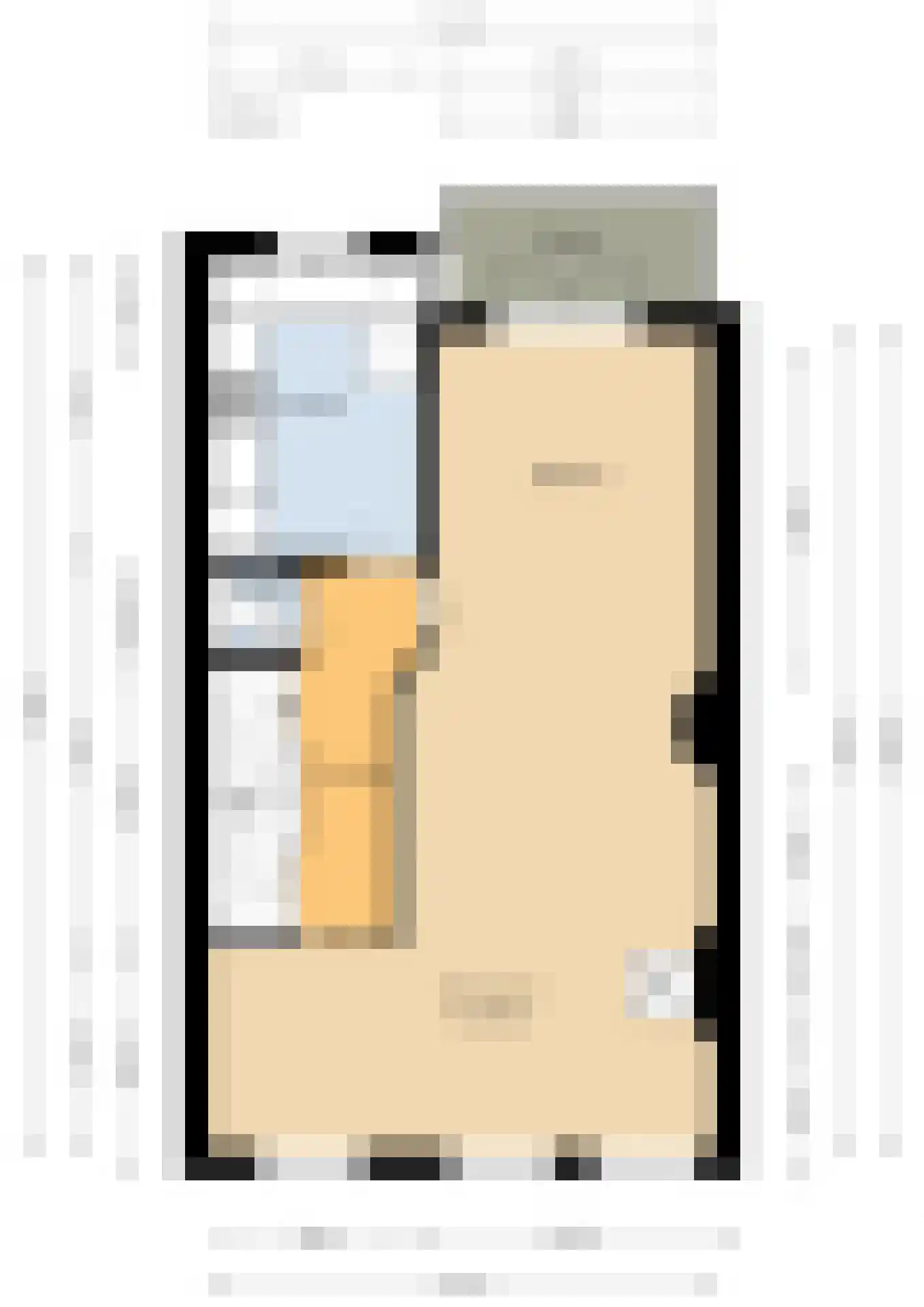 Nieuwe Laantjes 91 Den Haag thumbnail 8