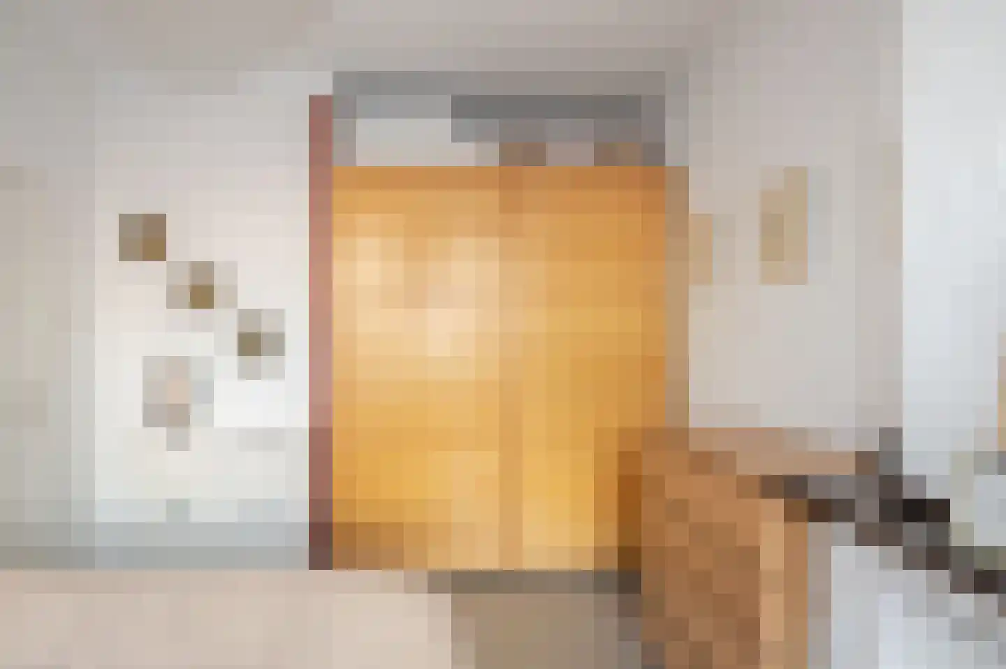 Nieuwe Laantjes 97 Den Haag thumbnail 10