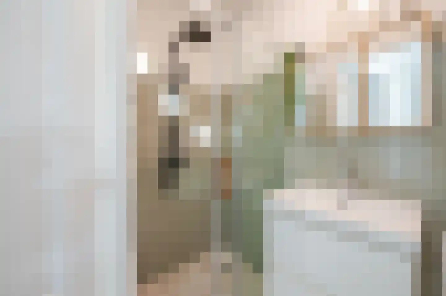 Nieuwe Laantjes 97 Den Haag thumbnail 13