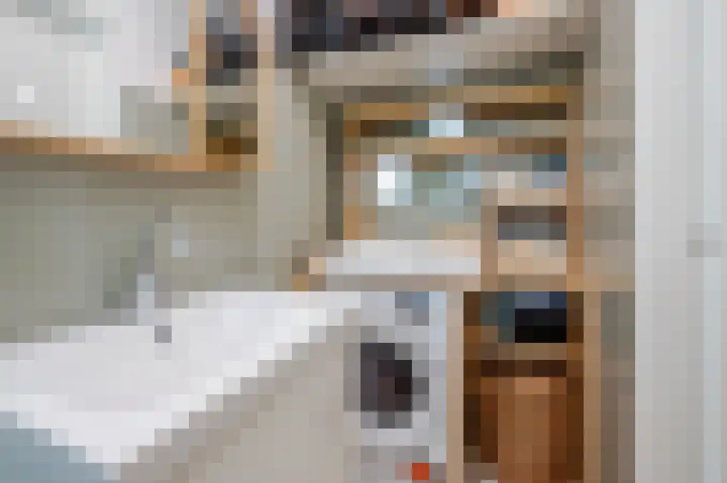 Nieuwe Laantjes 97 Den Haag thumbnail 15