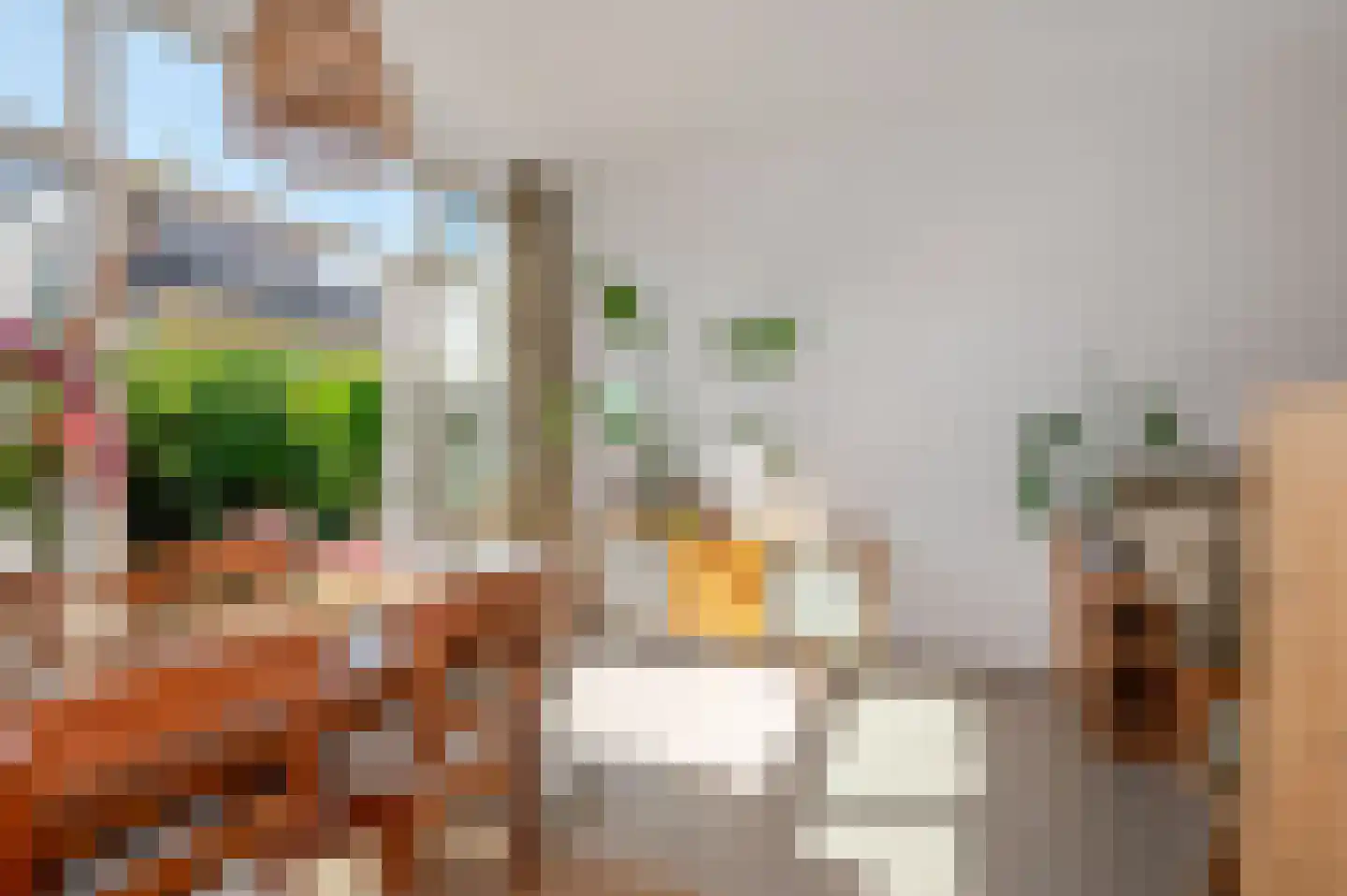 Nieuwe Laantjes 97 Den Haag thumbnail 25