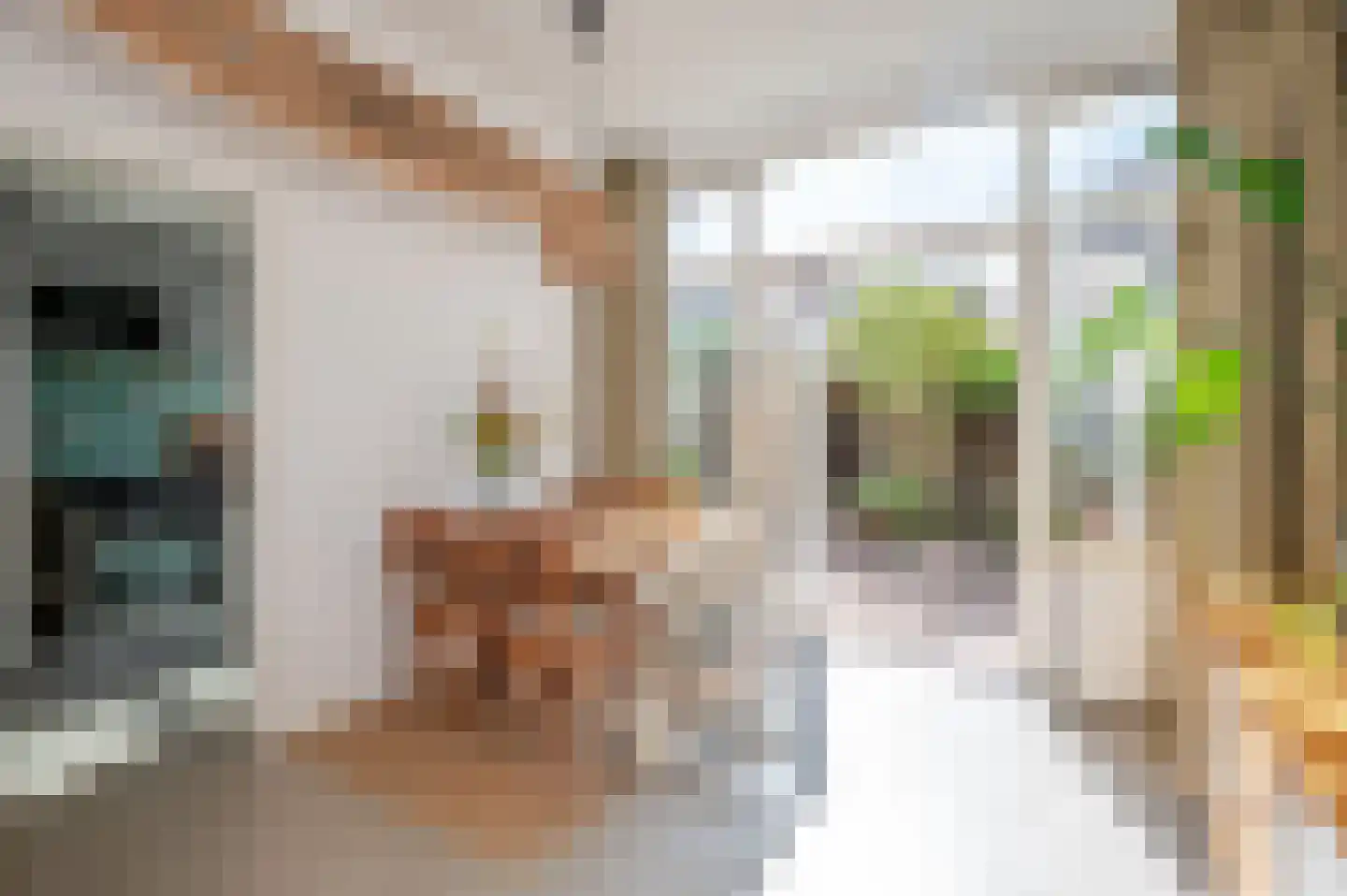 Nieuwe Laantjes 97 Den Haag thumbnail 26