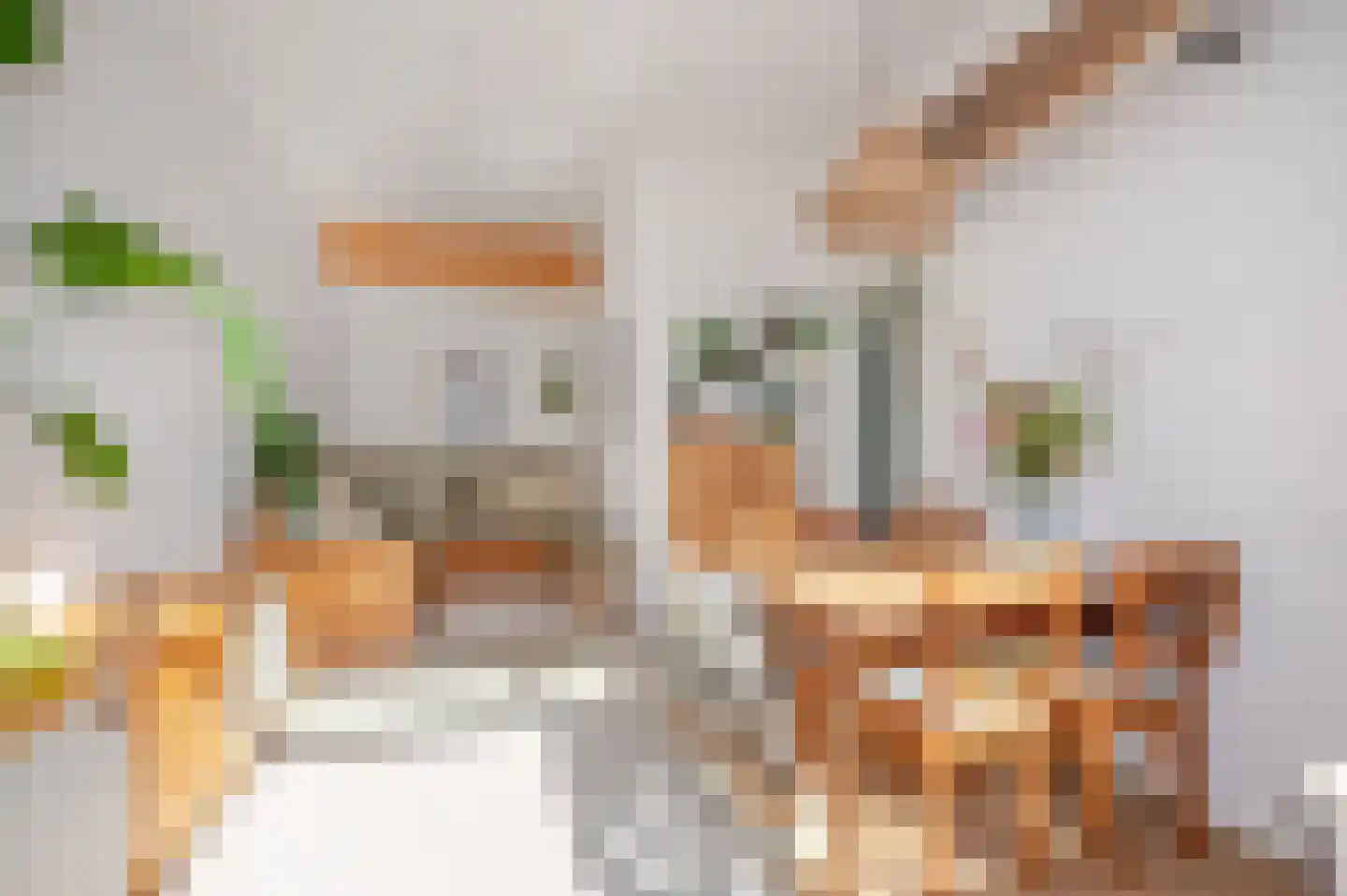 Nieuwe Laantjes 97 Den Haag thumbnail 27