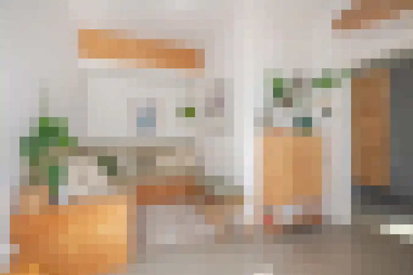 Nieuwe Laantjes 97 Den Haag thumbnail 28
