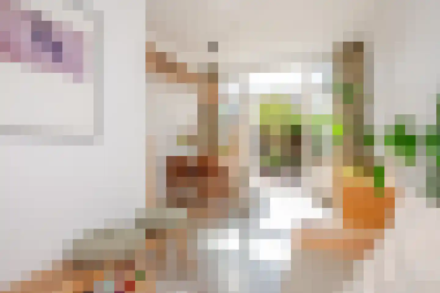 Nieuwe Laantjes 97 Den Haag thumbnail 30