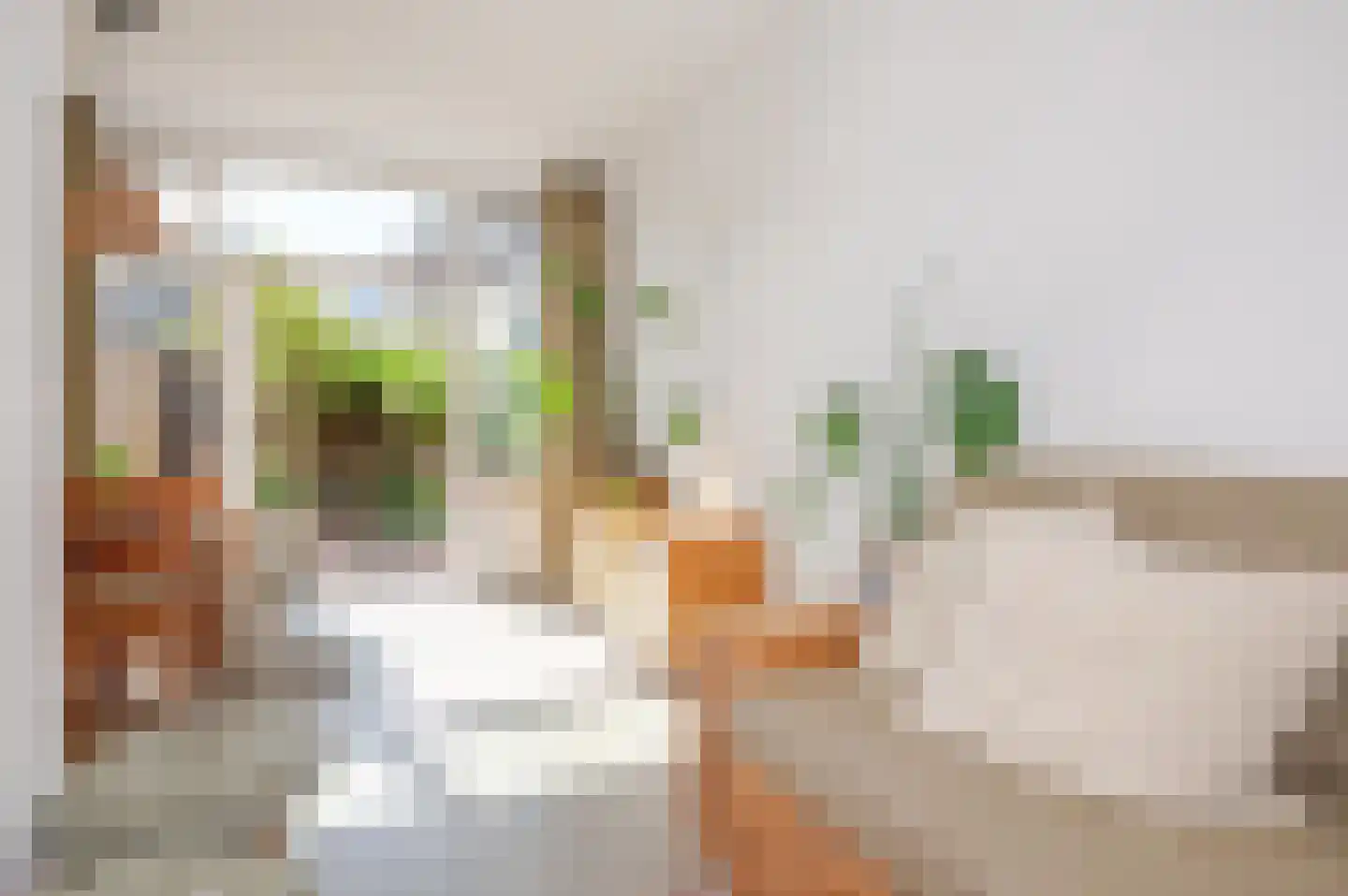 Nieuwe Laantjes 97 Den Haag thumbnail 31