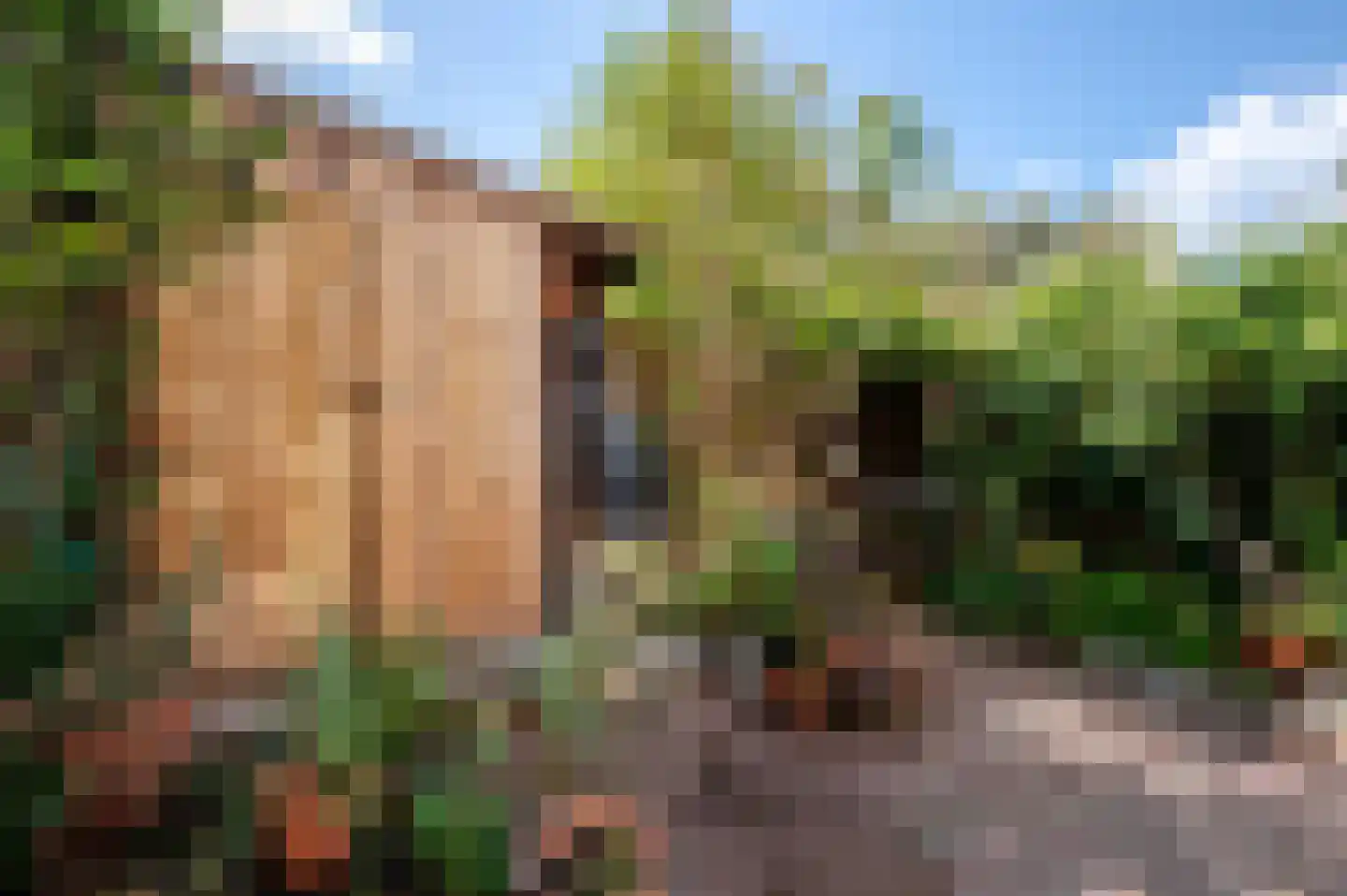 Nieuwe Laantjes 97 Den Haag thumbnail 37