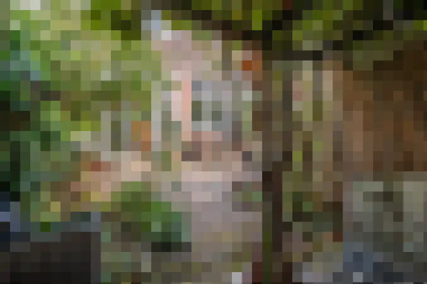 Nieuwe Laantjes 97 Den Haag thumbnail 38