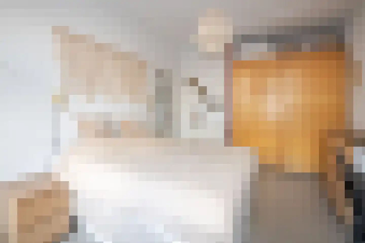 Nieuwe Laantjes 97 Den Haag thumbnail 9